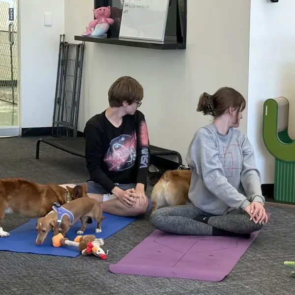 Puppy yoga event at K9 Rox Club Las Vegas